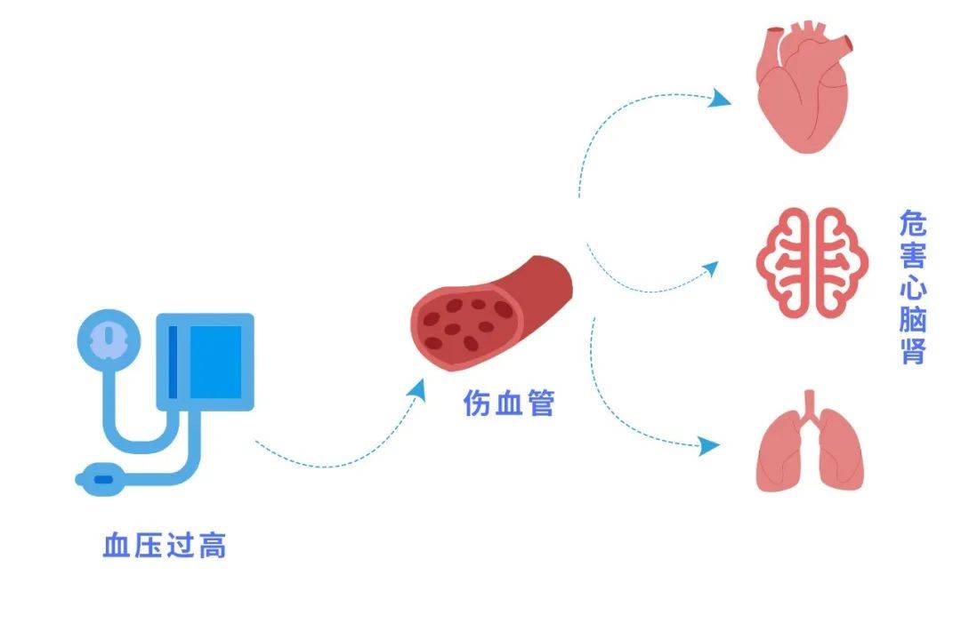 咸鱼苹果破解版
:血压、血糖、血脂、尿酸标准对照表+忌口清单