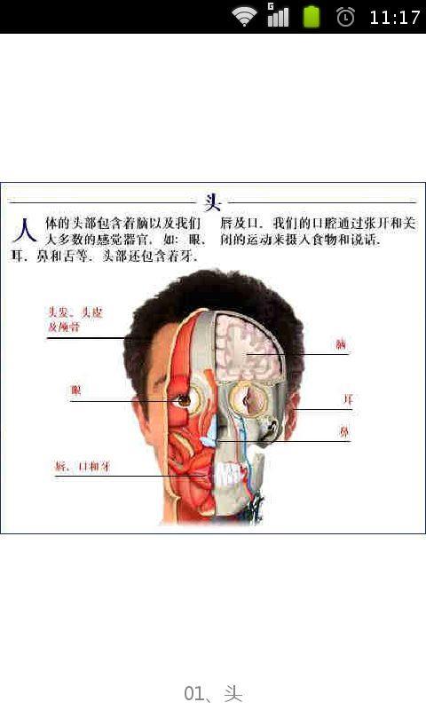 解剖客户端3d解剖软件版-第1张图片-太平洋在线下载