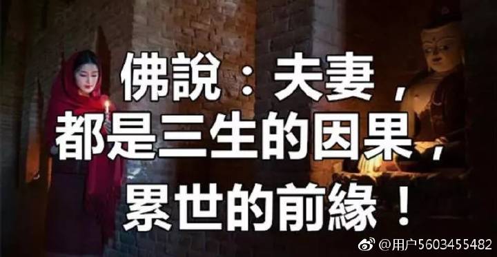 因果安卓游戏小熊移植绅士安卓游戏直装-第2张图片-太平洋在线下载